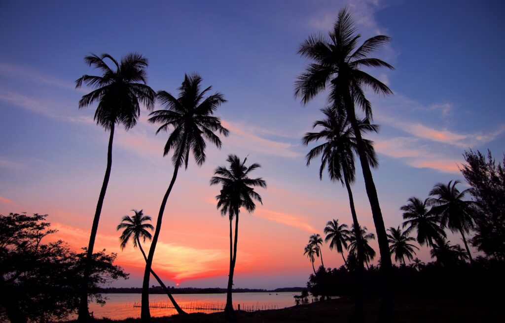 Stunning tropical sunset with silhouetted palm trees and vibrant sky colors.
