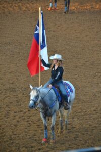 texas state flag, horse, cowgirl, nature, american